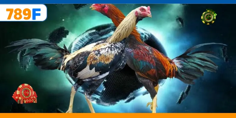 Đá Gà Cựa Dao – Trải Nghiệm Cá Cược Online Kịch Tính 1 Đá Gà Cựa Dao – Trải Nghiệm Cá Cược Online Kịch Tính