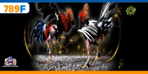 Đá Gà Đòn Và Sức Hút Trong Loại Hình Cá Cược Trực Tuyến