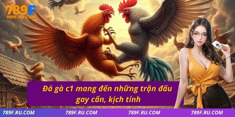 Đá Gà C3 – Giải Đấu Hấp Dẫn Quy Tụ Những Chiến Kê Mạnh Nhất 2 Đá gà C1 mang đến những trận đấu gay cấn, kịch tính