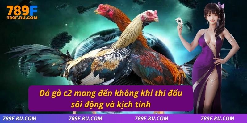 Đá Gà C3 – Giải Đấu Hấp Dẫn Quy Tụ Những Chiến Kê Mạnh Nhất 2 Đá gà C2 mang đến không khí thi đấu sôi động và kịch tính