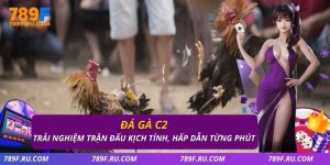 Đá gà C2