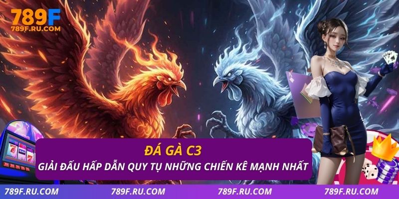 Đá Gà C3 – Giải Đấu Hấp Dẫn Quy Tụ Những Chiến Kê Mạnh Nhất