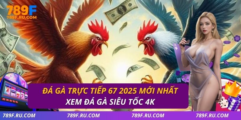 Đá Gà Trực Tiếp 67 2025 Mới Nhất – Xem Đá Gà Siêu Tốc 4k