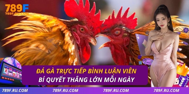 Đá Gà Trực Tiếp Bình Luận Viên | Bí Quyết Thắng Lớn Mỗi Ngày