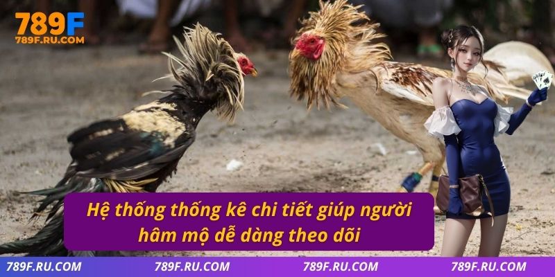 Đá Gà C2 | Trải Nghiệm Trận Đấu Kịch Tính, Hấp Dẫn Từng Phút 4 Hệ thống thống kê chi tiết giúp người hâm mộ dễ dàng theo dõi
