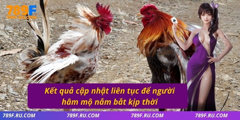 Đá Gà C3 – Giải Đấu Hấp Dẫn Quy Tụ Những Chiến Kê Mạnh Nhất 4 Kết quả cập nhật liên tục để người hâm mộ nắm bắt kịp thời