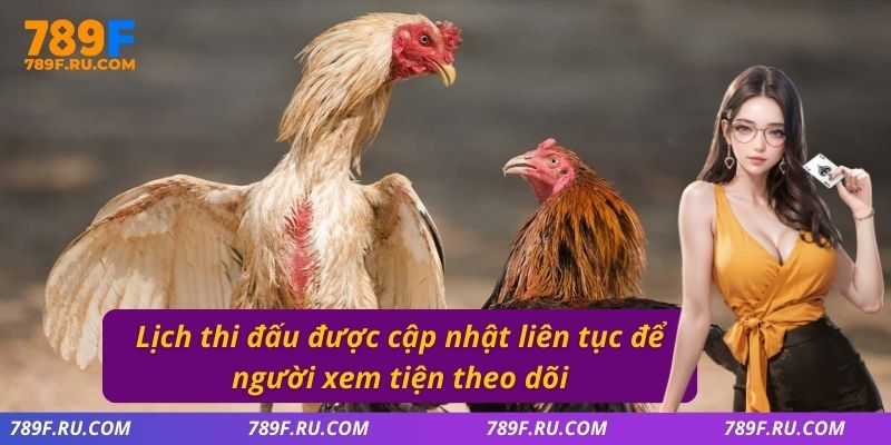 Đá Gà C3 – Giải Đấu Hấp Dẫn Quy Tụ Những Chiến Kê Mạnh Nhất 3 Lịch thi đấu được cập nhật liên tục để người xem tiện theo dõi