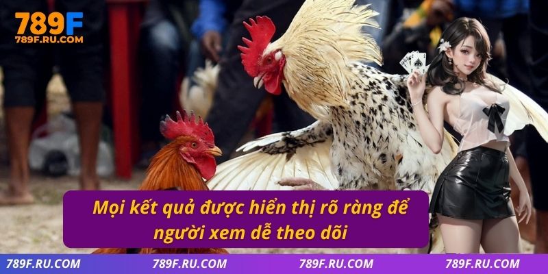 Đá Gà C2 | Trải Nghiệm Trận Đấu Kịch Tính, Hấp Dẫn Từng Phút 3 Mọi kết quả được hiển thị rõ ràng để người xem dễ theo dõi