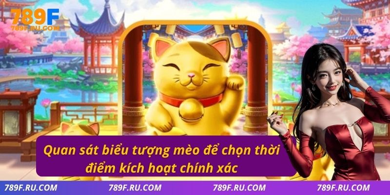 Quan sát biểu tượng mèo để chọn thời điểm kích hoạt chính xác