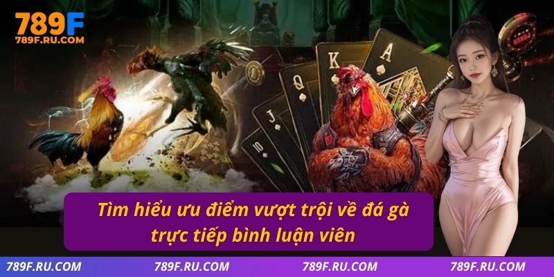 Tìm hiểu ưu điểm vượt trội về đá gà trực tiếp bình luận viên